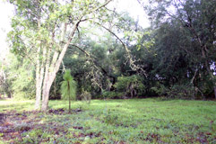 Waldo Road Property Image of Waldo Road Property